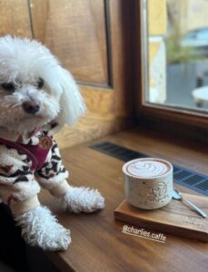 539842295_1727234577972906_1933066513846105009_n