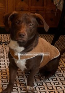 539991721_742107845323144_1526859039766237487_n