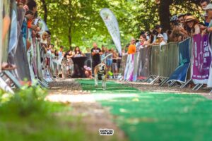 540016835_24359921703659701_150941460292917277_n