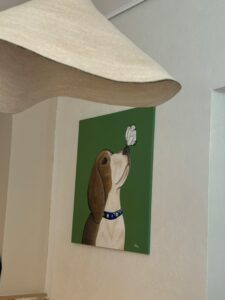 552345681_1532005847957063_5261251270831759808_n