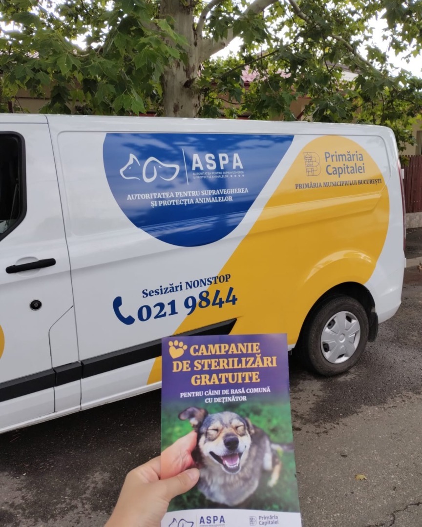 557622929_1144919227793213_4429378414758122147_n - Copy