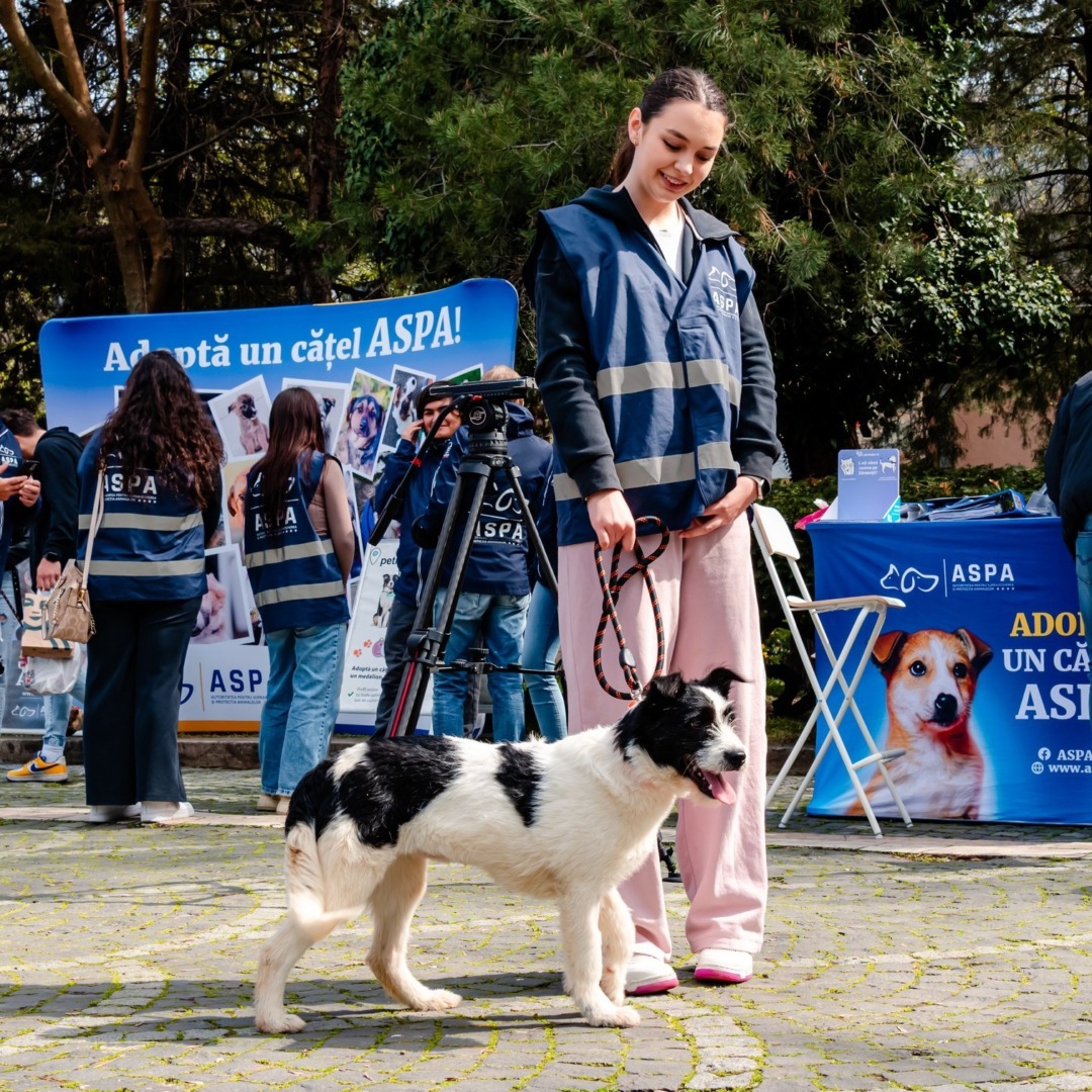 558097254_1163236569294812_2677853720143453977_n