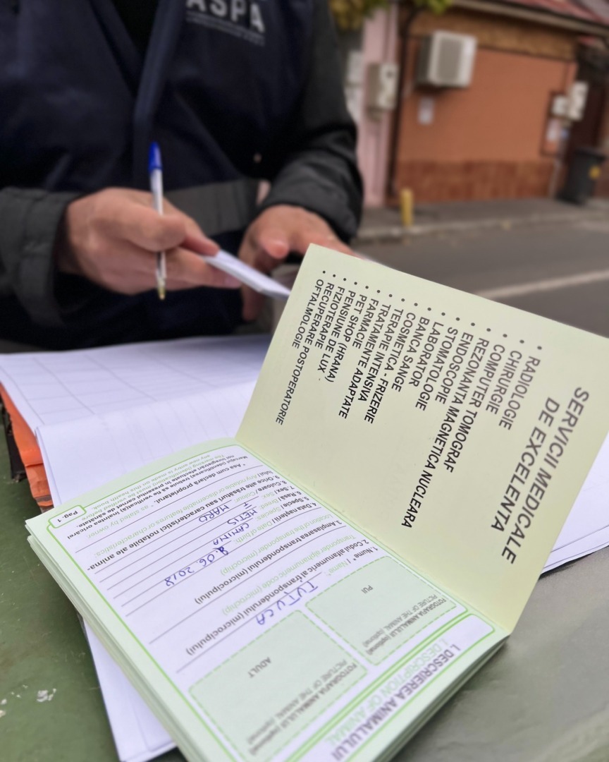 559635468_1144919354459867_8123245336801110639_n