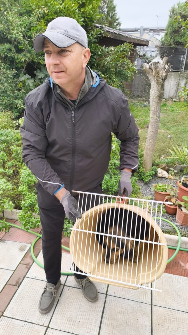 559743048_1442289417900819_2900915010971212241_n