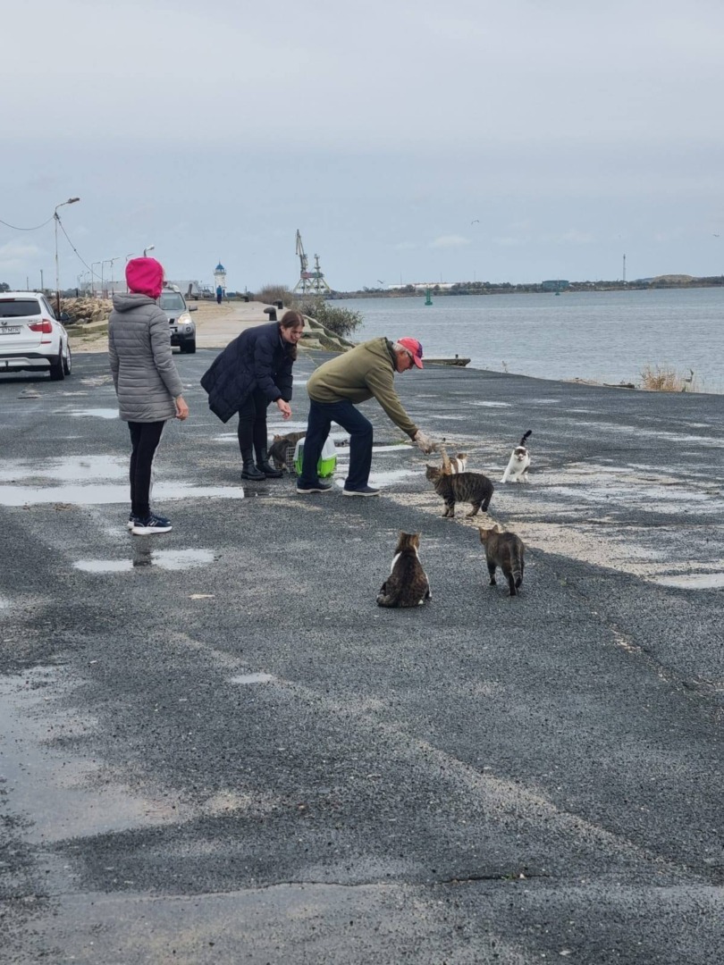 560044727_1442288634567564_5429222982005269241_n (1)