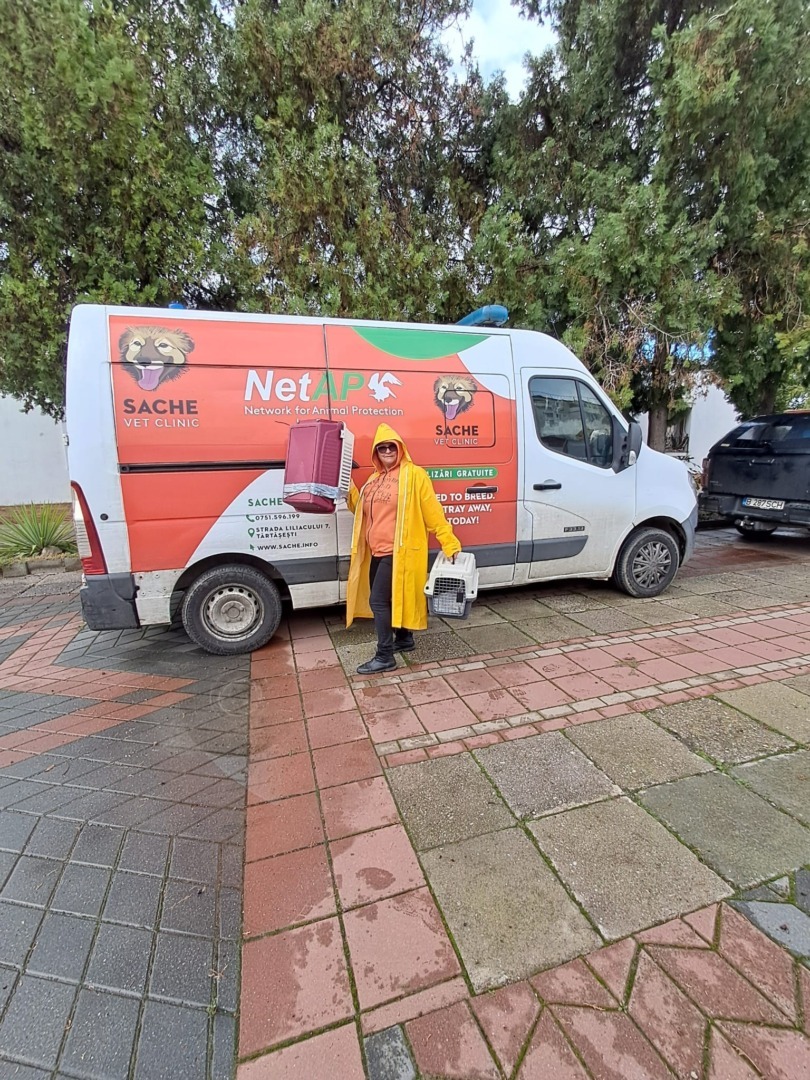 561234741_1442289051234189_2525603279244909379_n