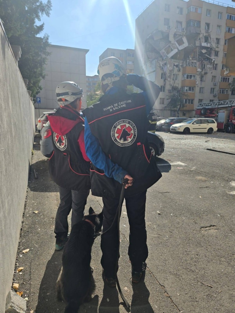 561343387_1106918794948347_3825563423408796601_n