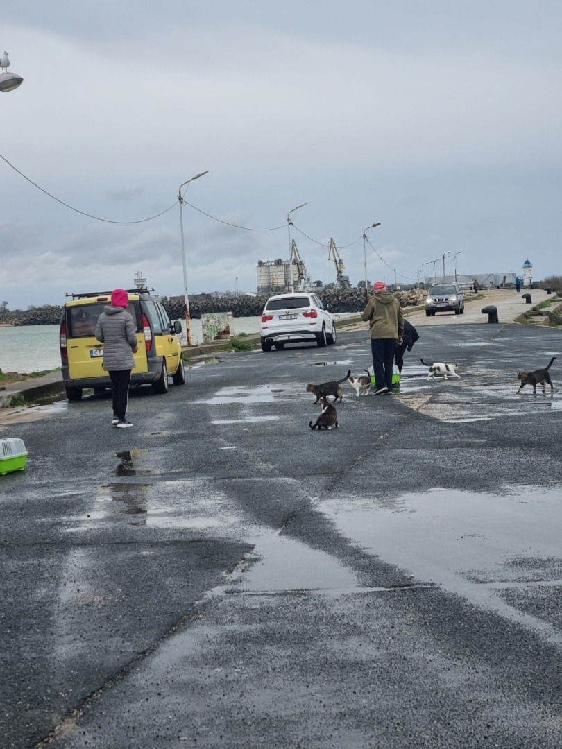 561346245_1442289071234187_3681478820829206859_n