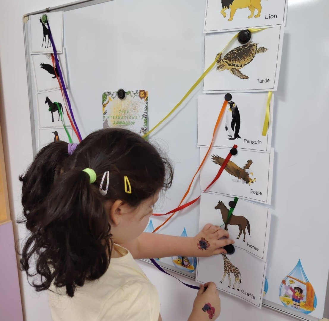 561357742_1319891229830313_7130126323720536802_n