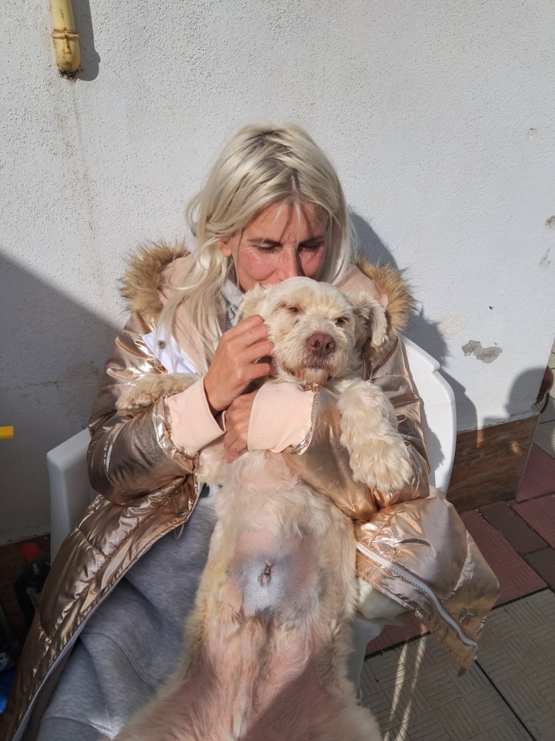 564231576_1442289291234165_5219975877820276395_n