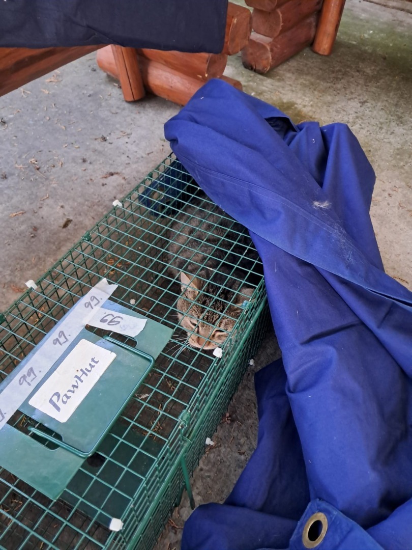 564524216_1442289171234177_3291568555423675616_n