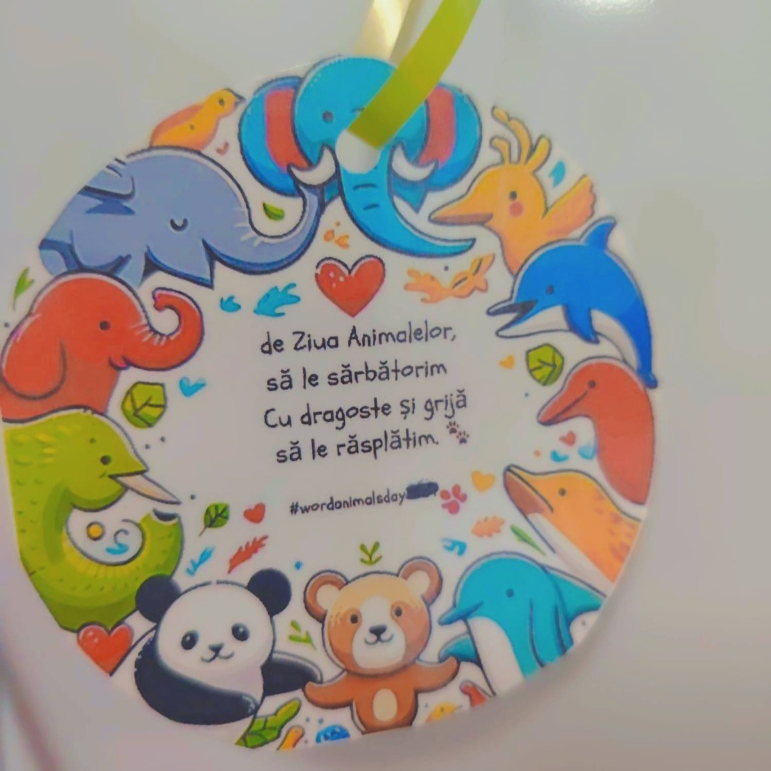 565132141_1319891129830323_8771265793101492734_n