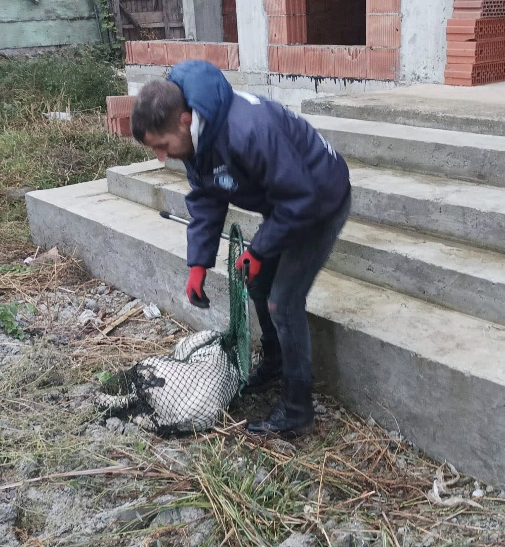 565239973_122181176198550808_2863672774314801537_n