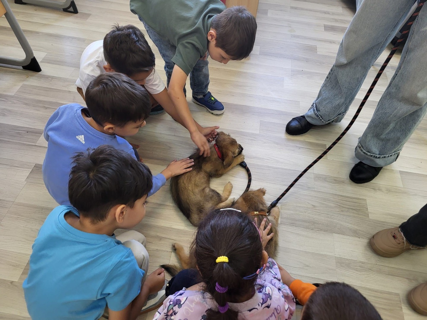 565366378_1157814836503652_7679825978565665699_n