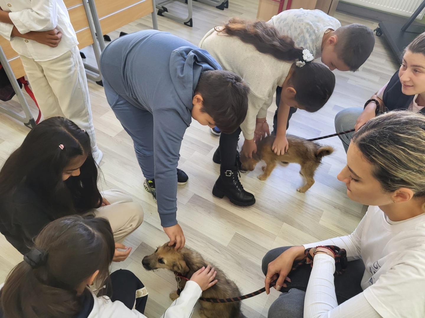 566203198_1157814786503657_1502276028606500519_n