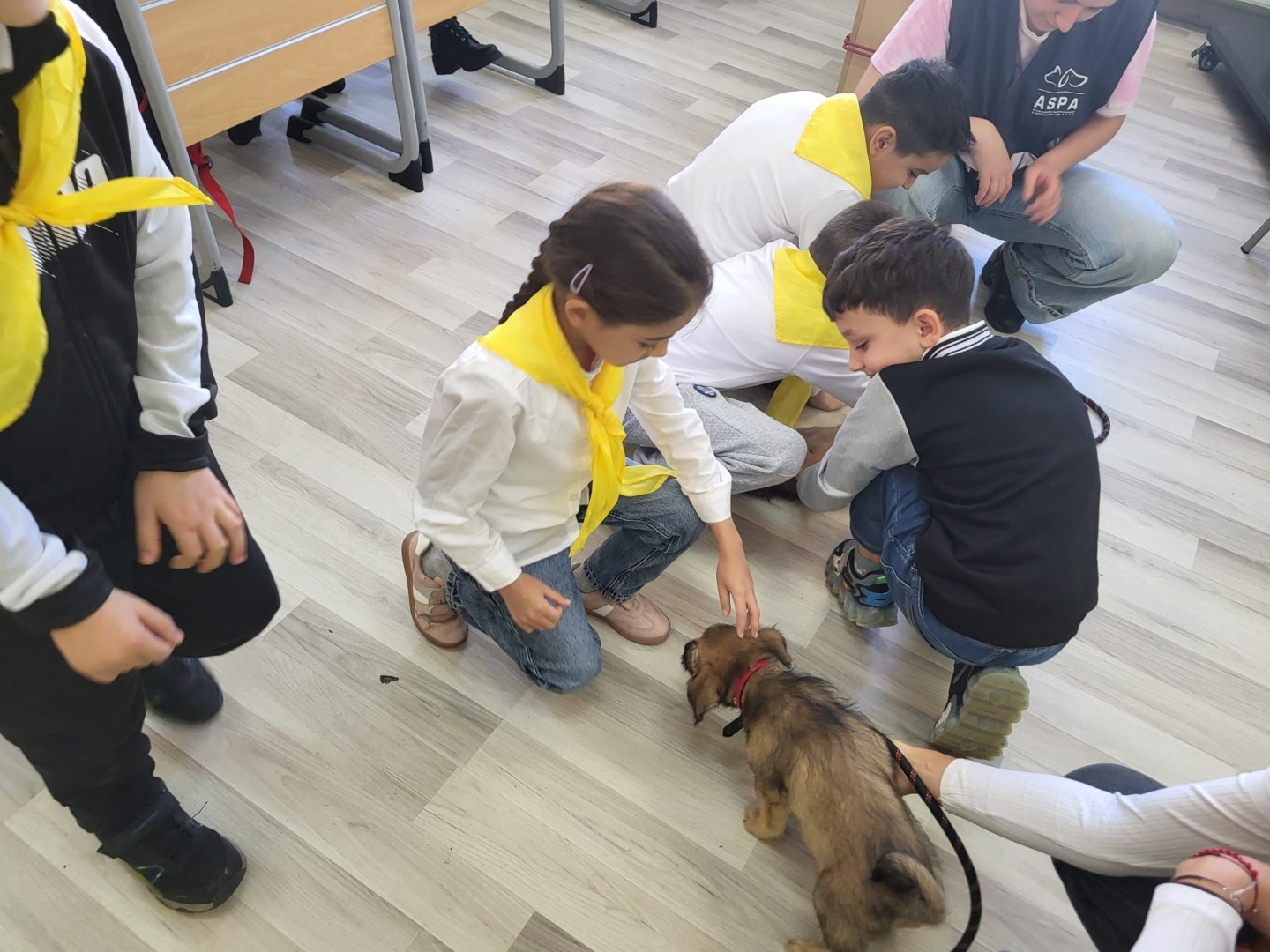 566204398_1157816513170151_3994882080875964526_n