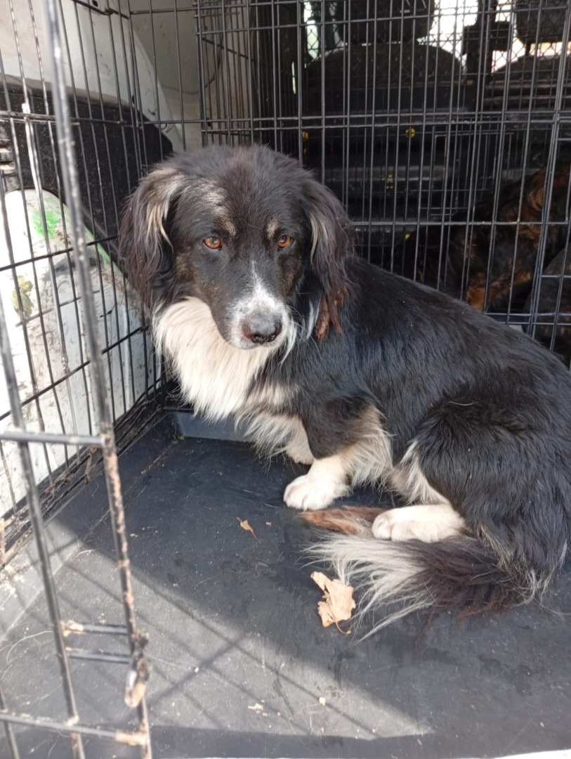 566210604_122181175748550808_1292995300600684922_n