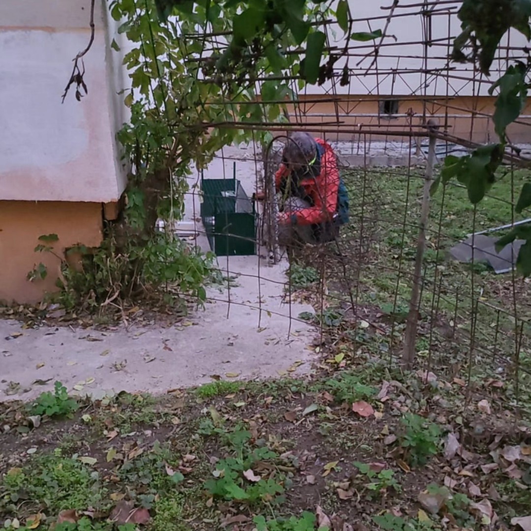 567125981_810583018251358_3514922634774980645_n