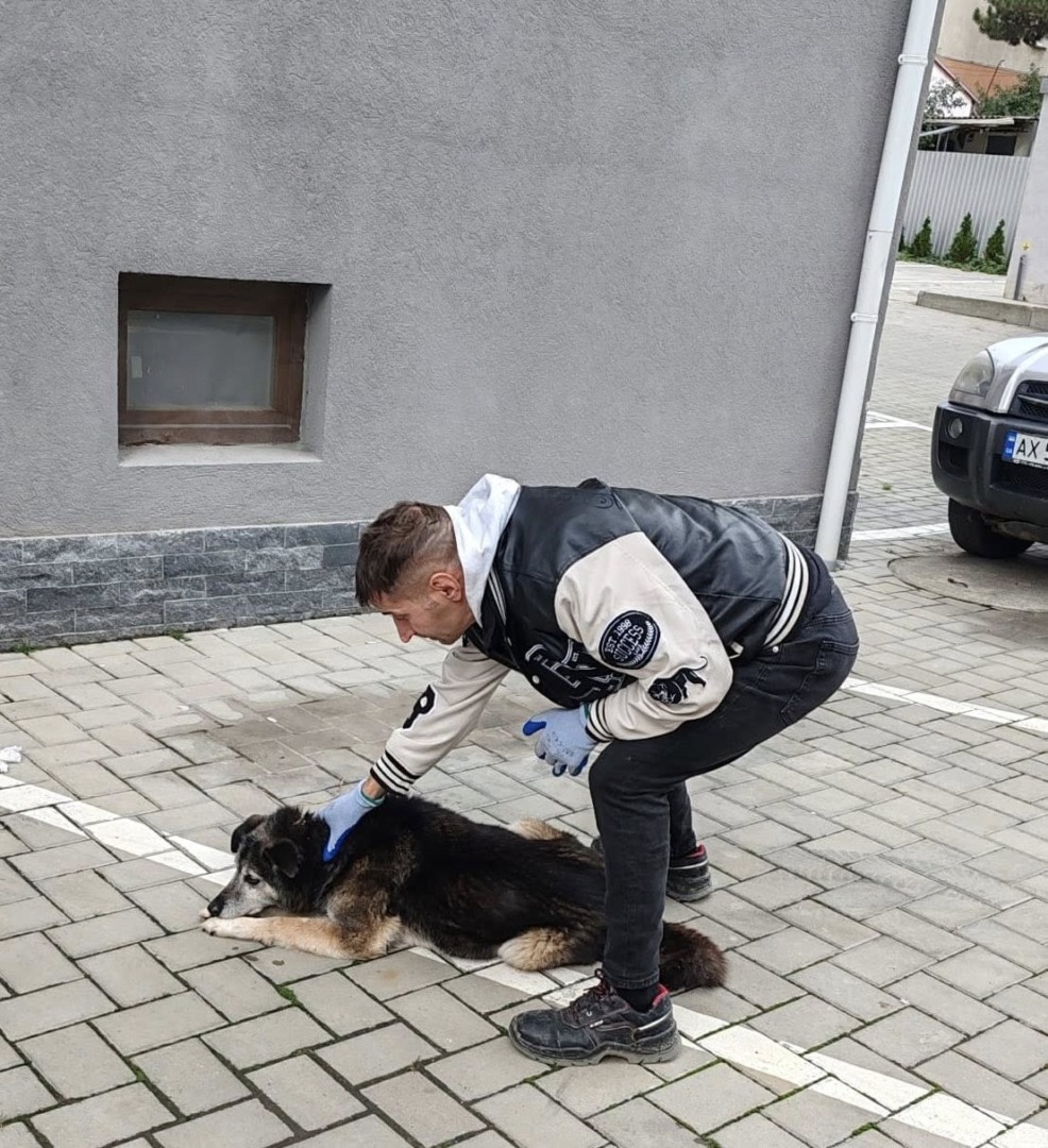 567171447_122181175712550808_119795386572978863_n