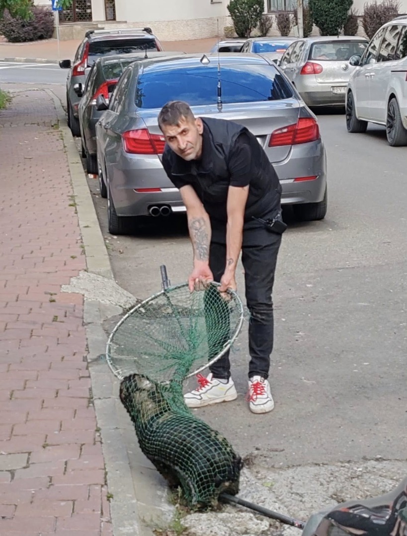 567524963_122181175538550808_8269290715890910767_n