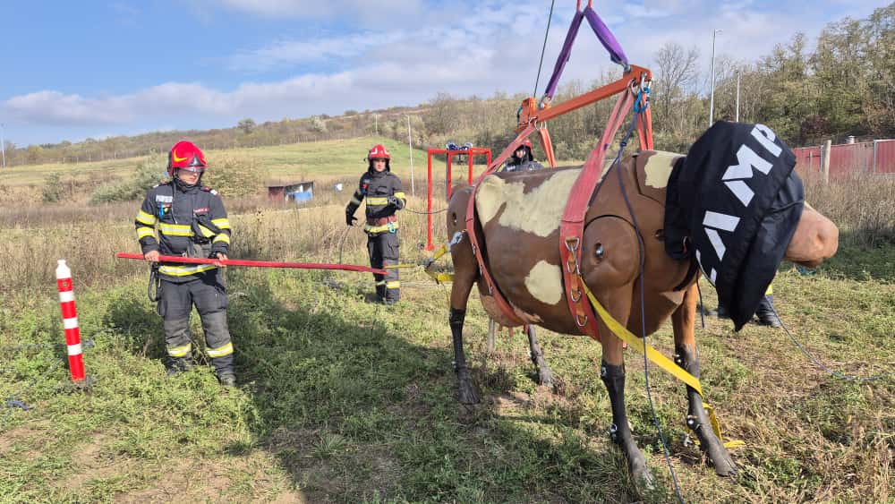 567677841_1242356541254020_4361464612520970523_n