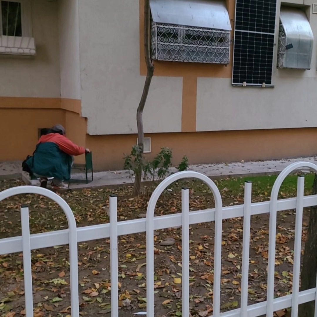 568268508_810583021584691_787685018969044538_n