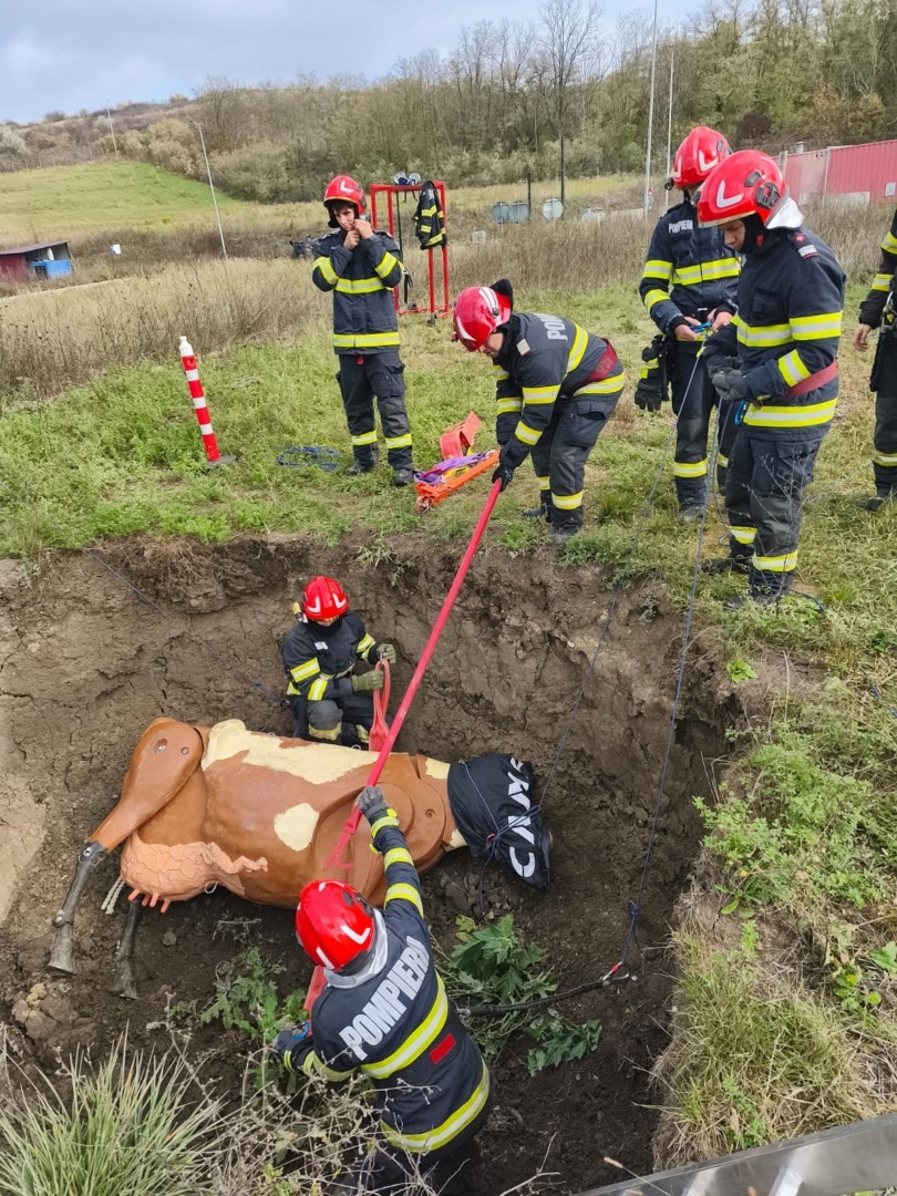 569047342_1242356544587353_1365993958239255497_n