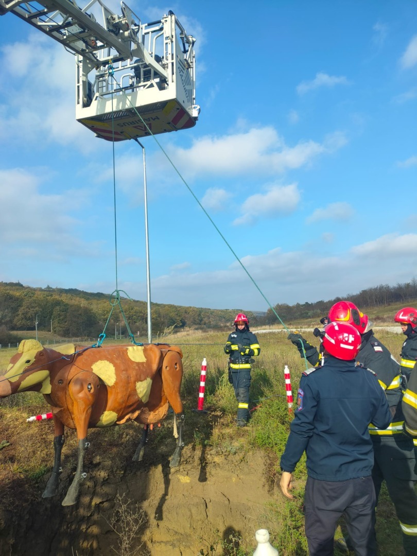 569890335_1242356764587331_4655743885370731510_n