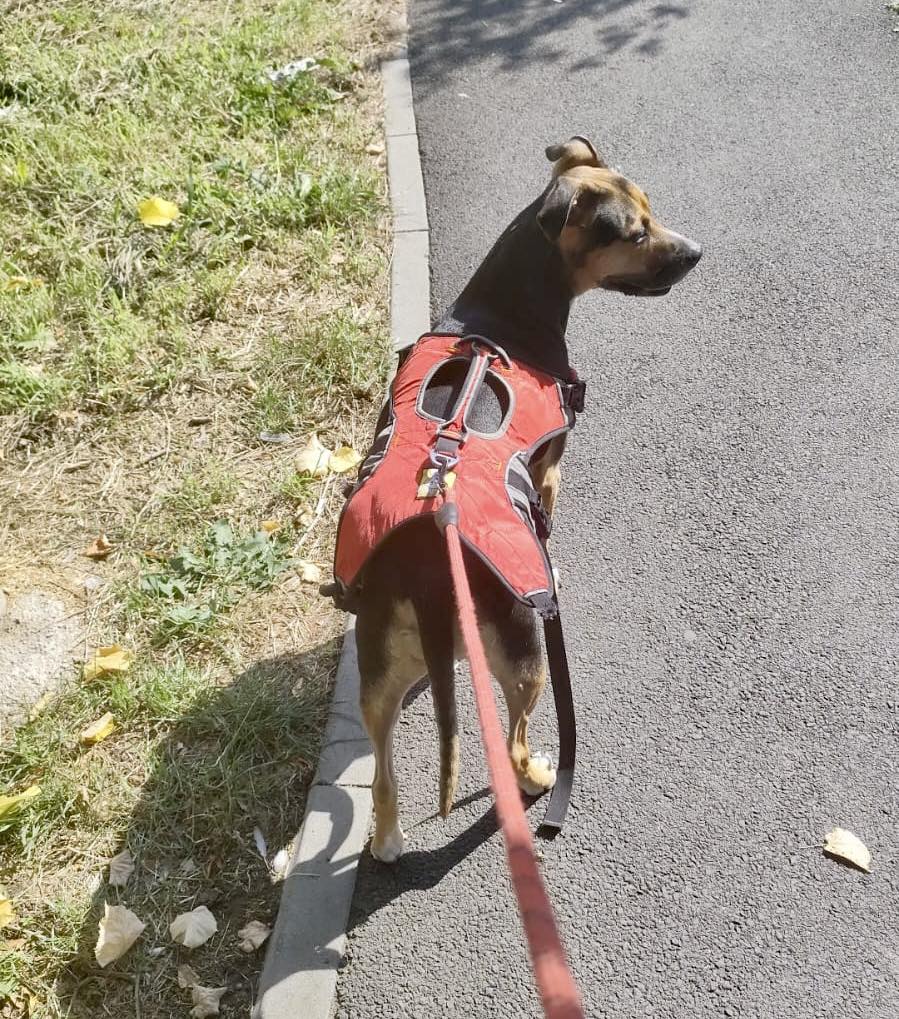 570327556_1165235632428239_3774883345523258495_n