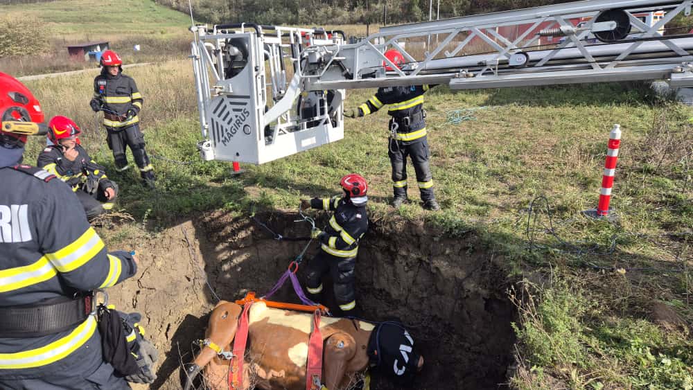 570599376_1242356714587336_7121571243661293302_n