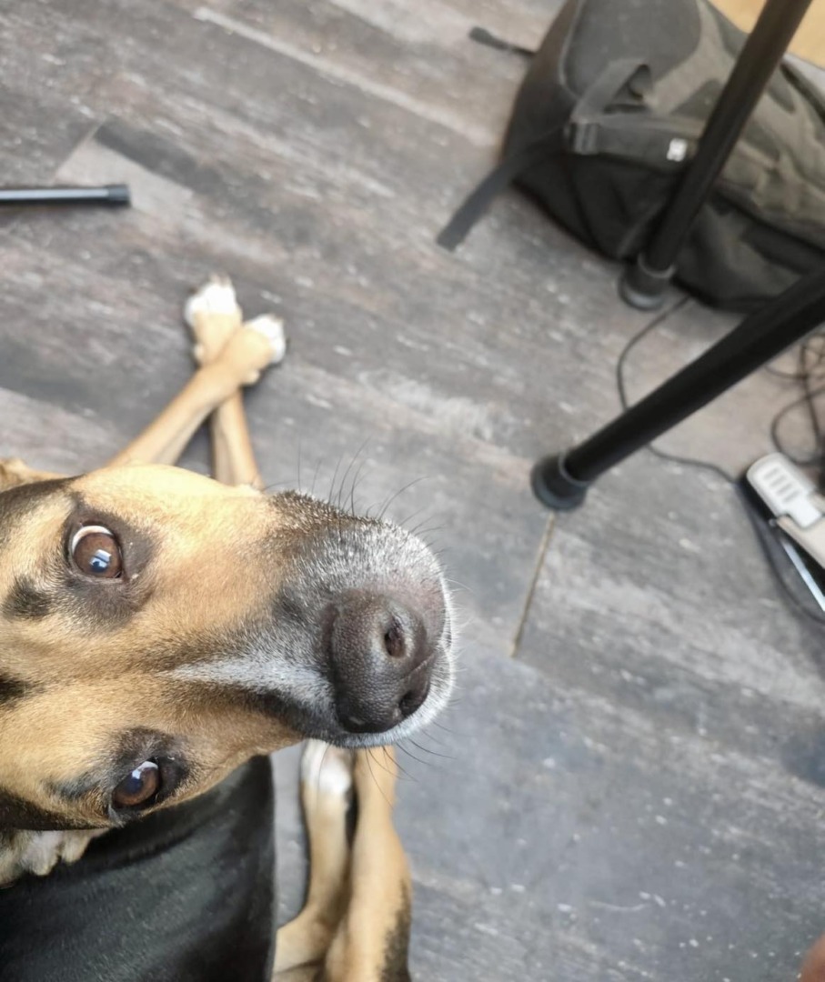 571128589_1165235715761564_8020843649117719234_n