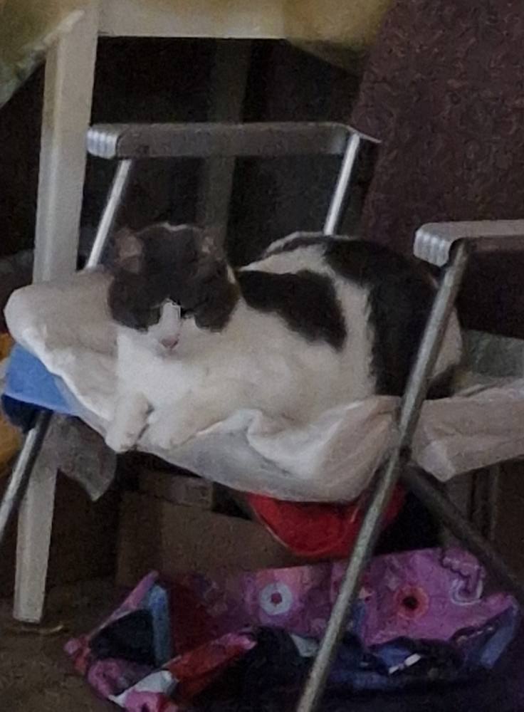 571131849_1214852754009991_4498393061654442273_n