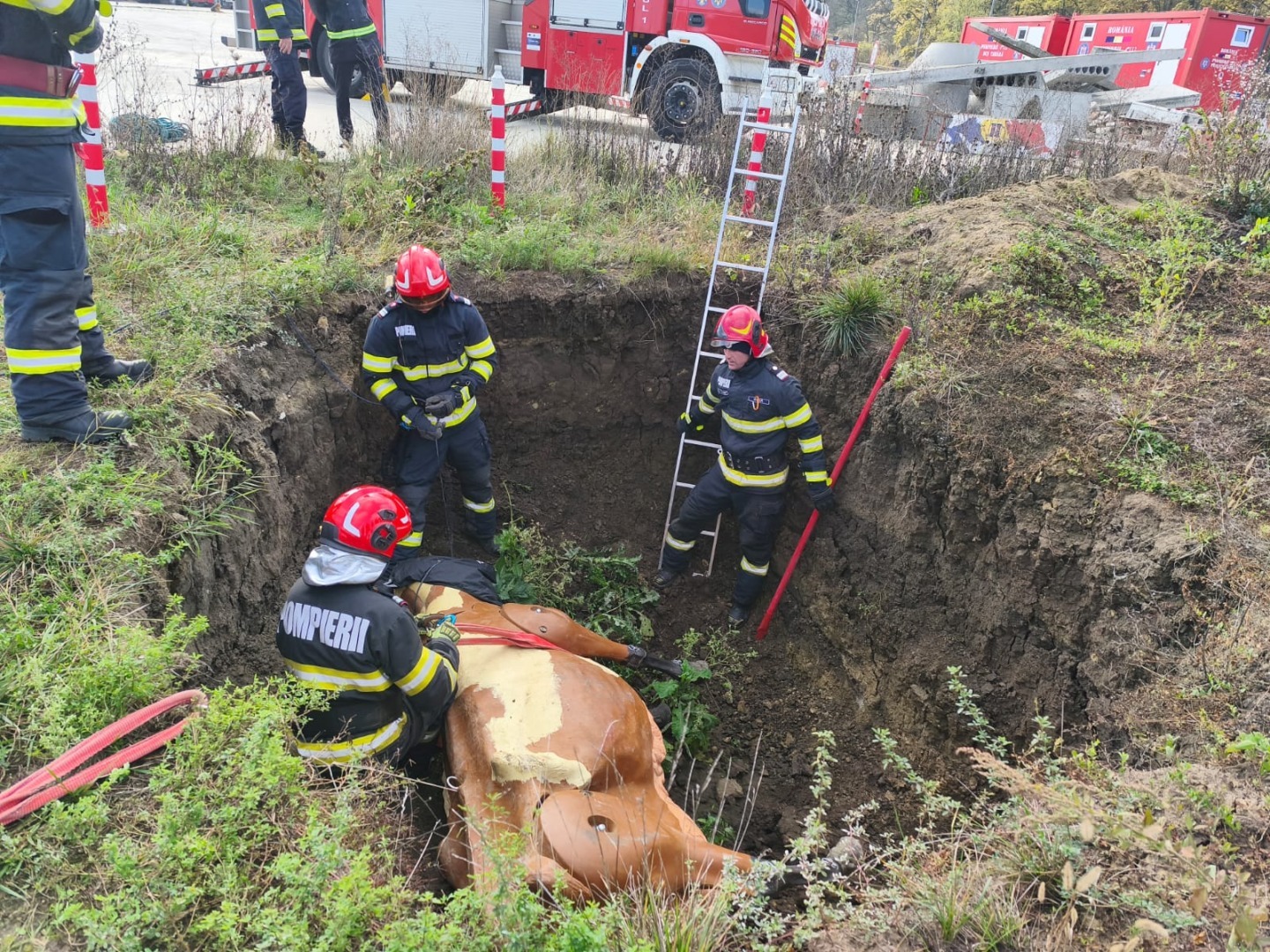 571160967_1242356401254034_4304293822164235081_n