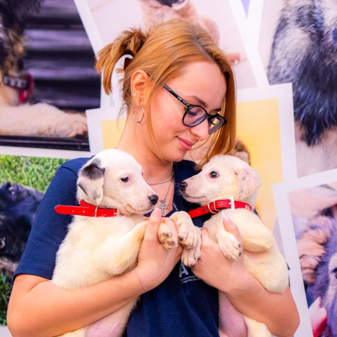 571210448_1166322275652908_6679861084954123660_n