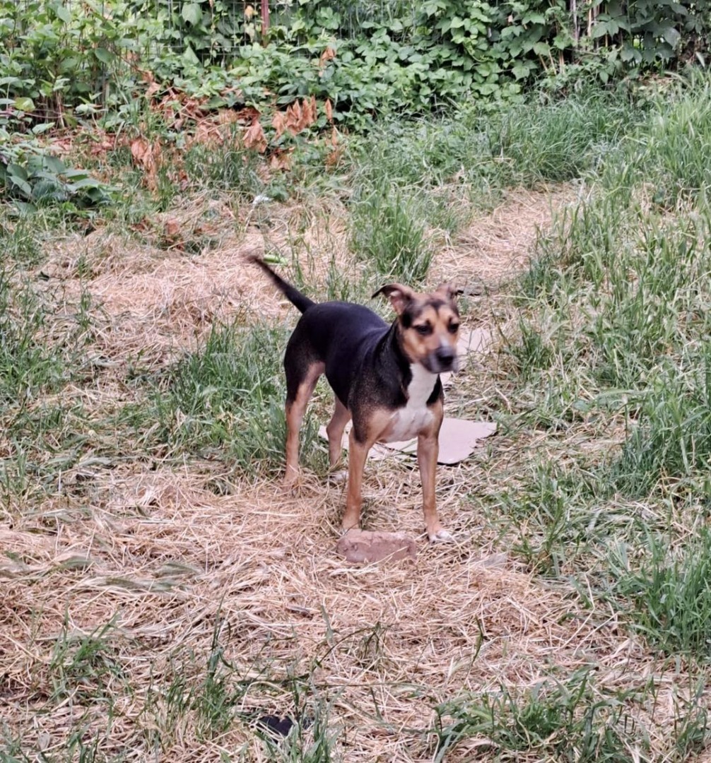 571217292_1165235652428237_8165041094441000607_n