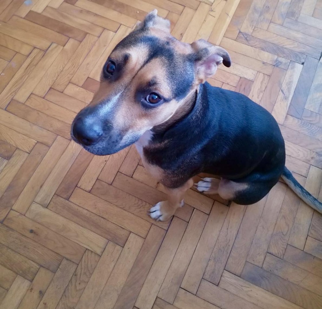 571232037_1165235649094904_7324246109905892042_n