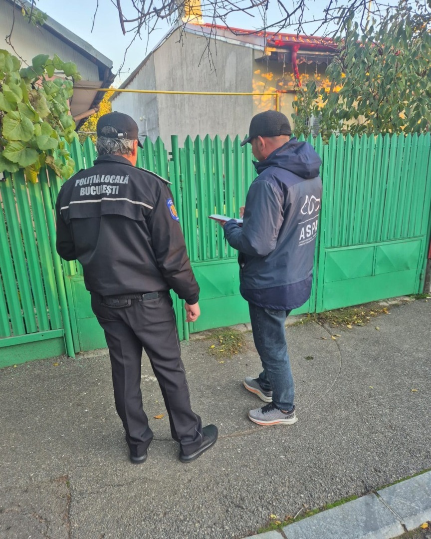 571246652_1168389315446204_6213509886986541371_n