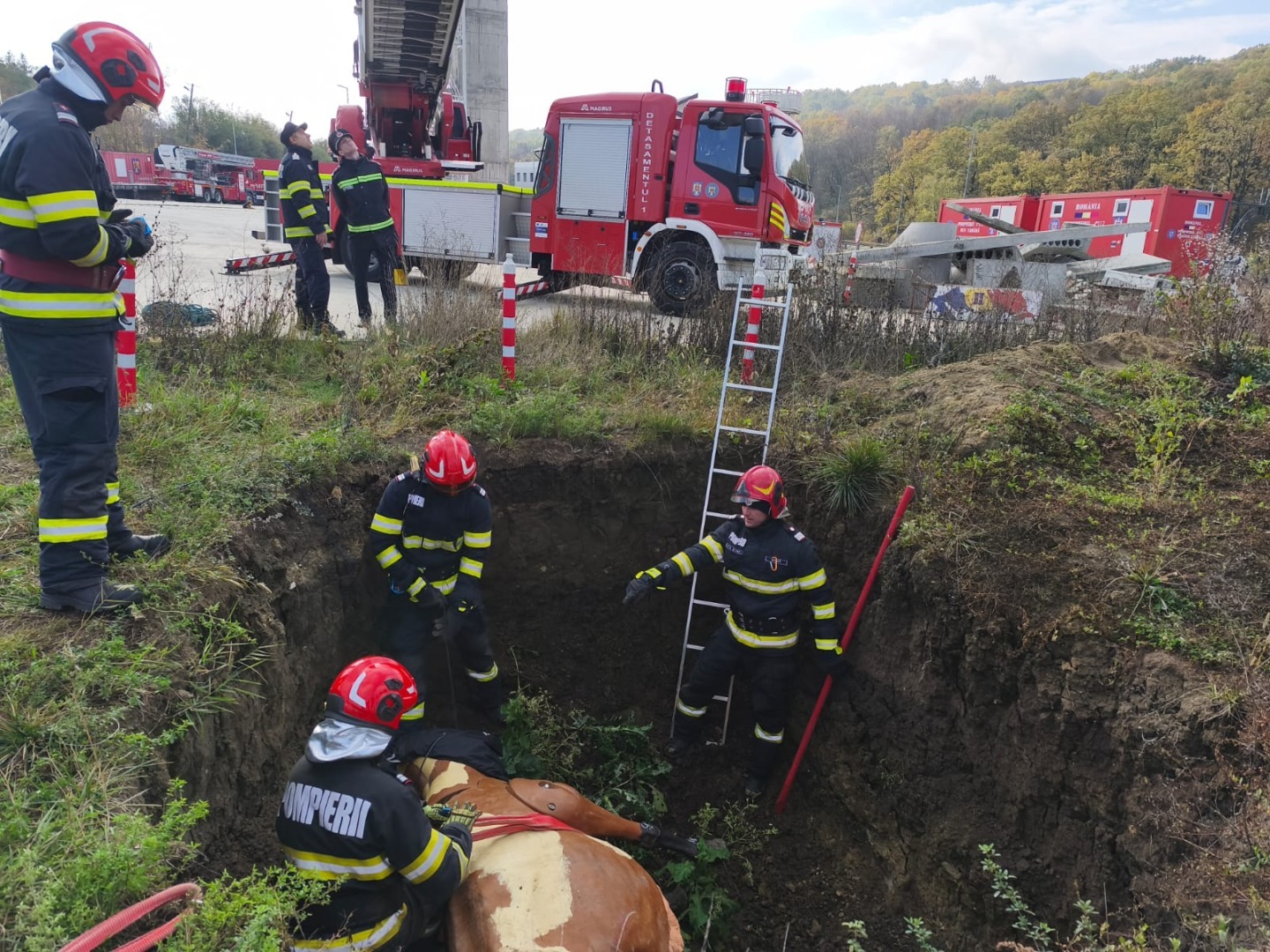 571273303_1242356414587366_6571864122632182652_n