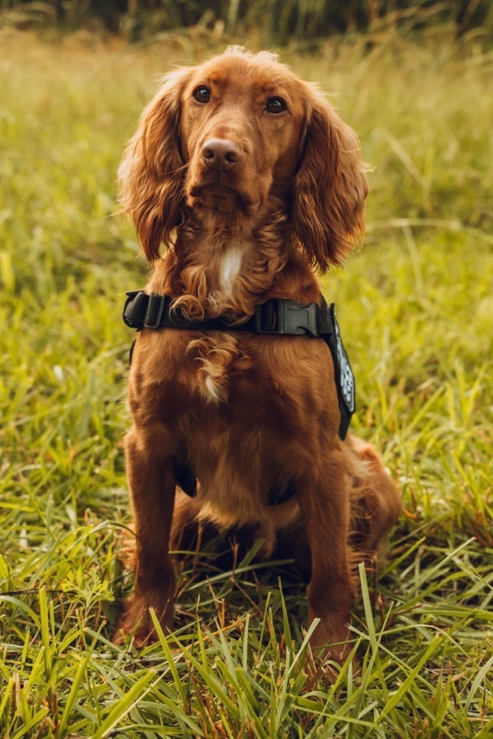 571746073_1226369392690068_3541960585217111662_n