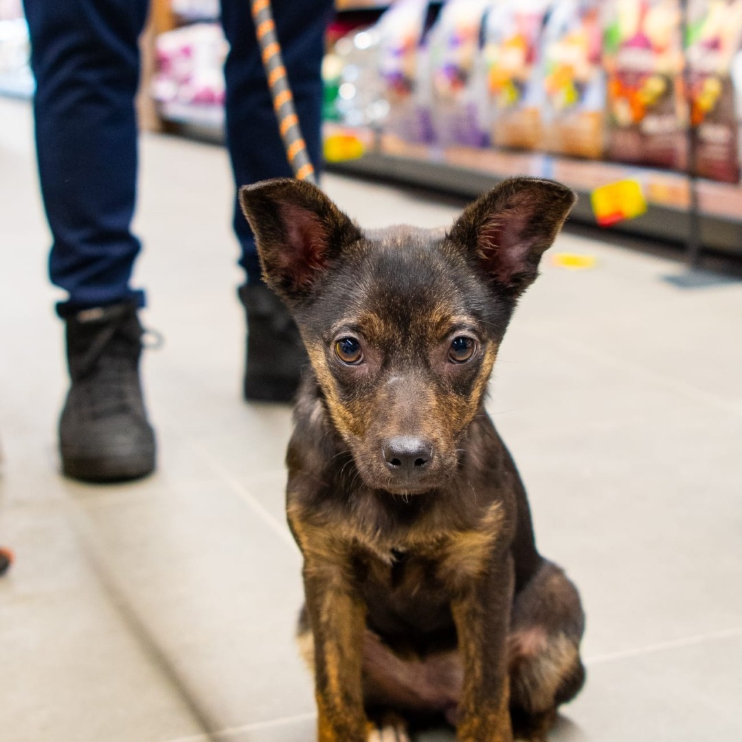 572136459_1166322345652901_8225251448411936475_n