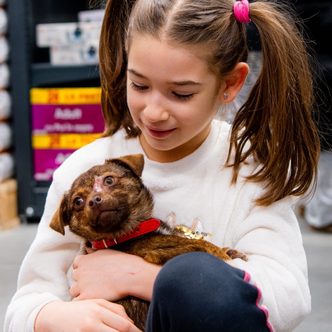 572452437_1166322262319576_2221061180908457928_n