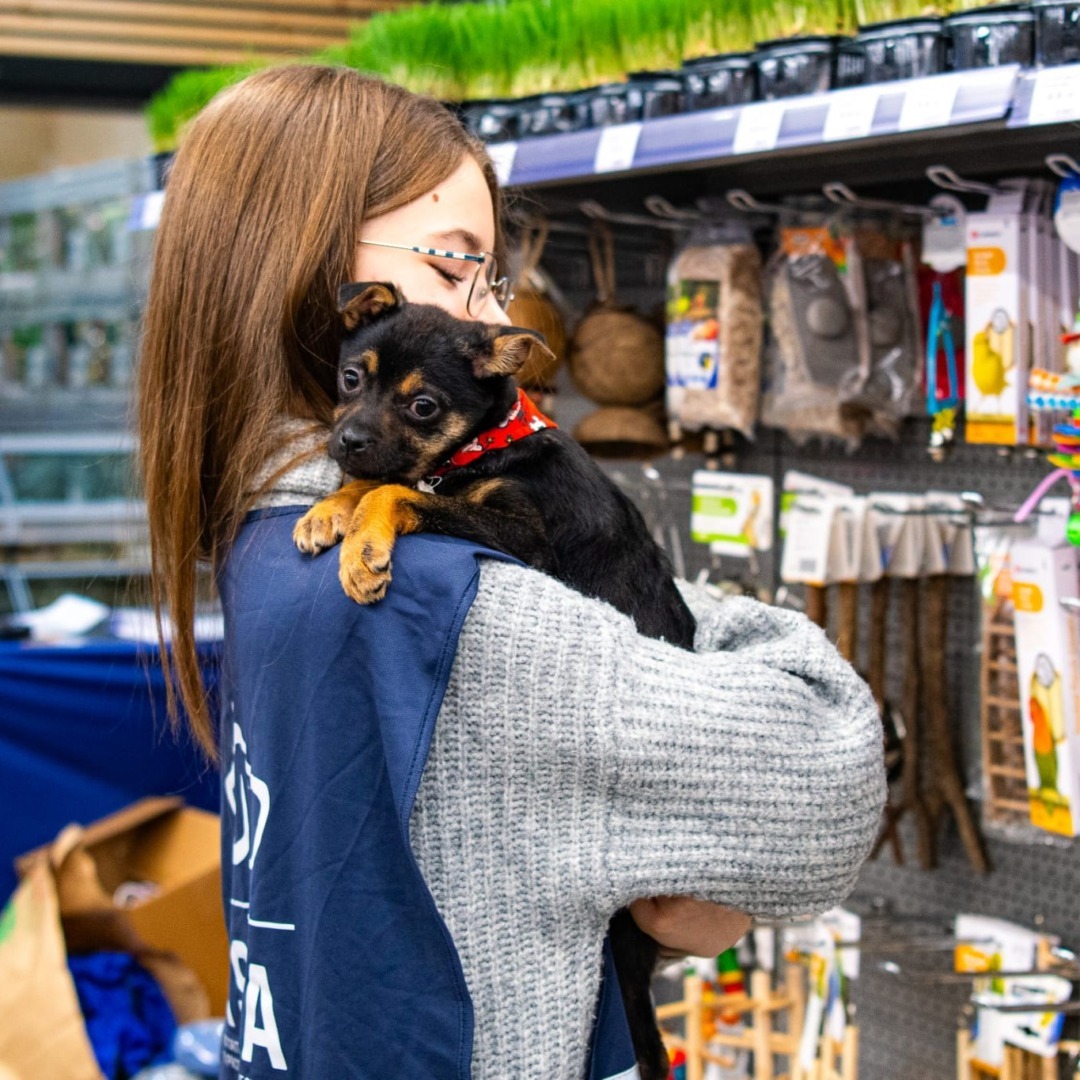 572785984_1166322348986234_6221732696130120333_n