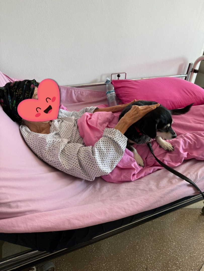 573063431_842632601466700_8976846941007236467_n