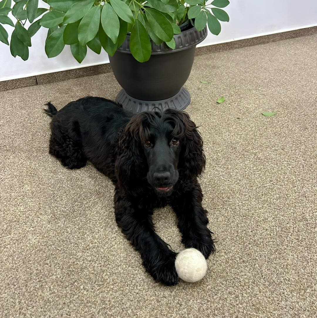 573087876_1166998172251985_3530611863457338652_n