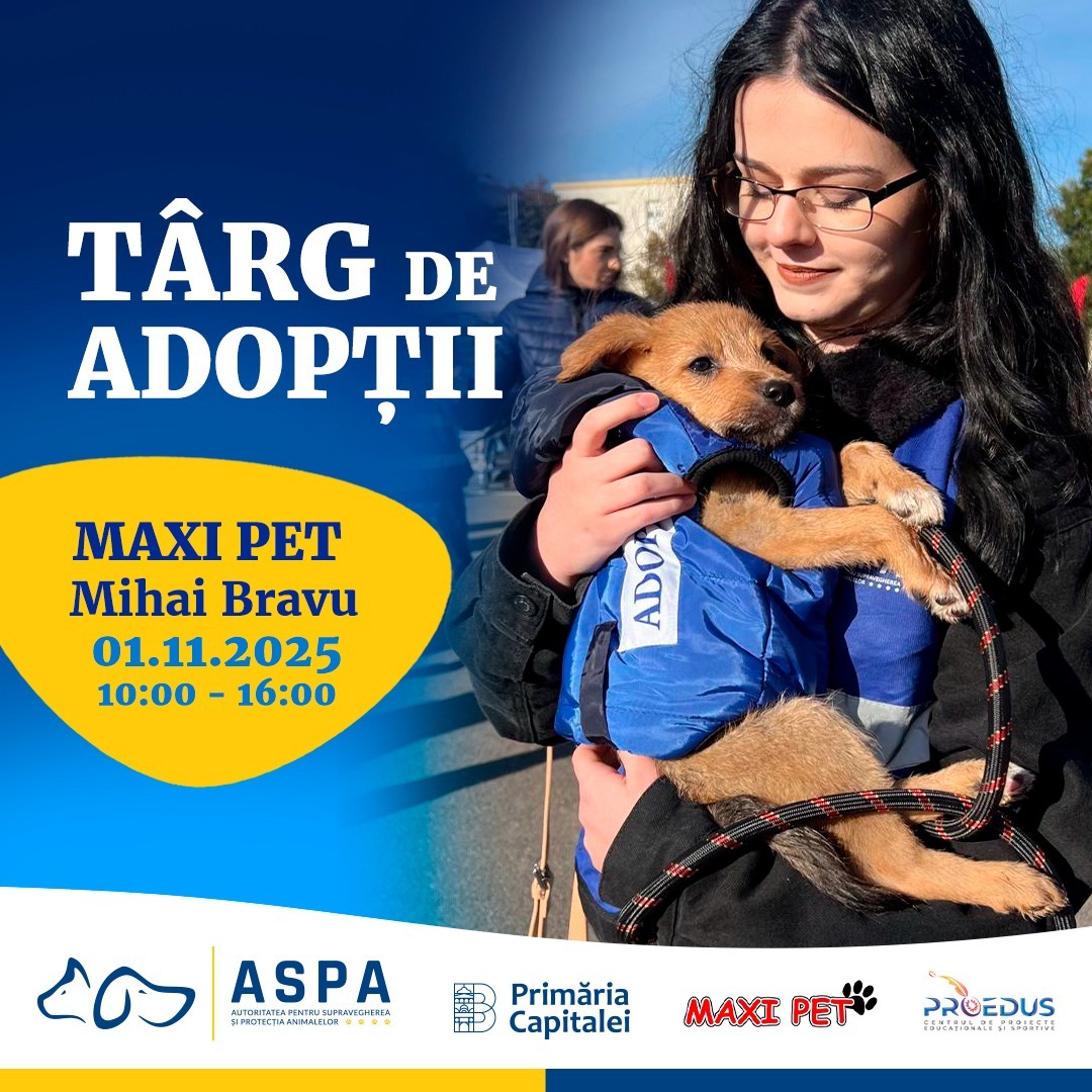 573129959_1166377452314057_5483732885245135940_n