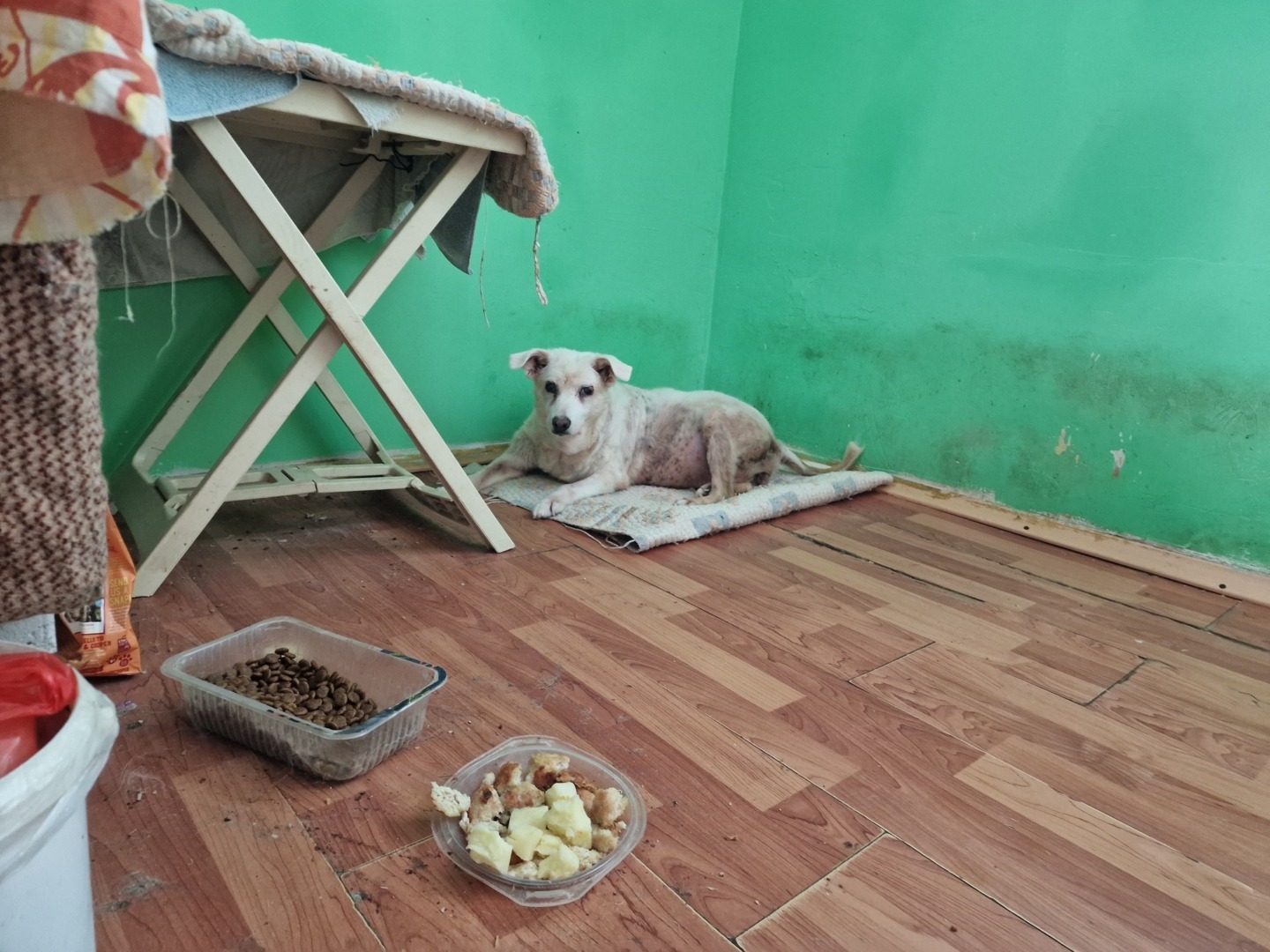 573882980_1214852994009967_1095140730640835319_n