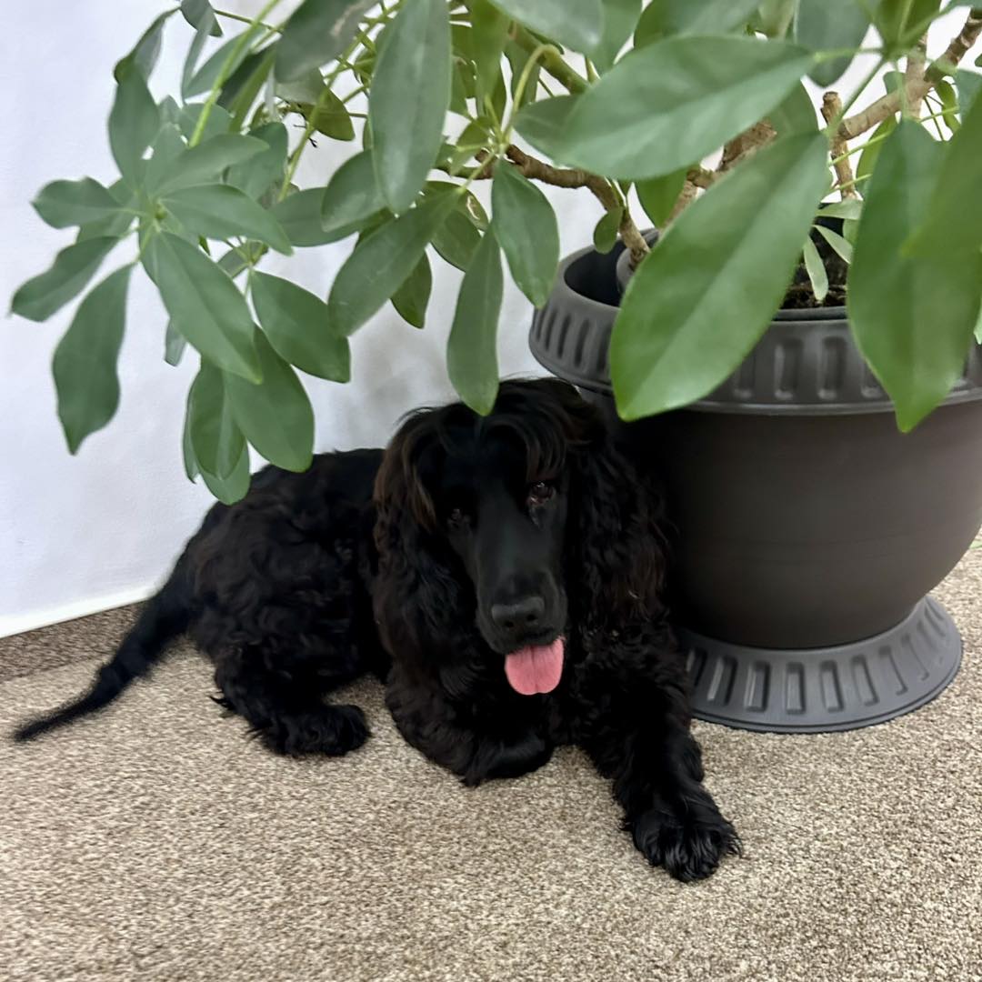 573896911_1166998168918652_3826282147003651553_n