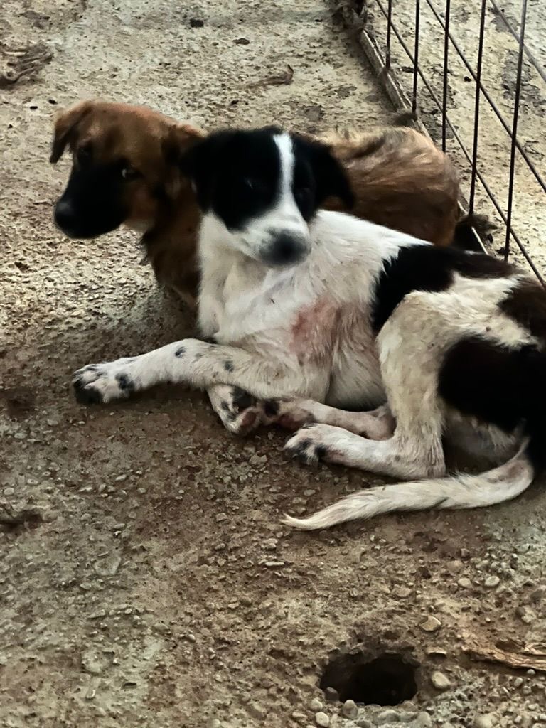 84873055-be91-4ad9-9d57-ff8cb68b2ed8