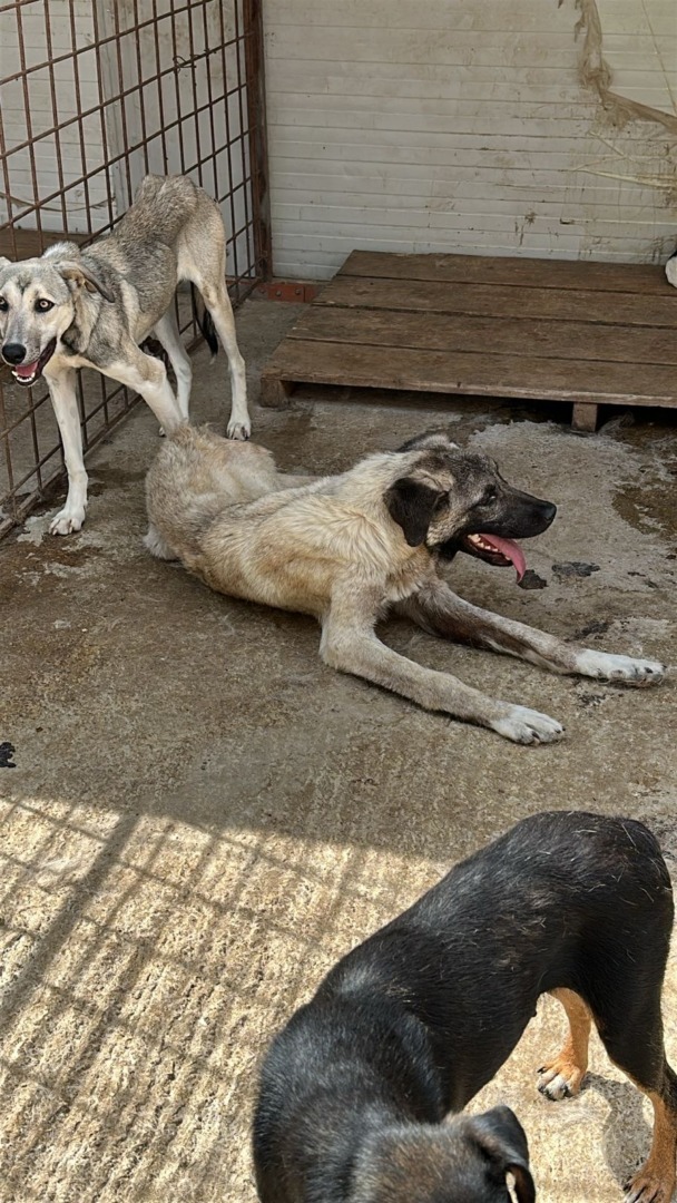 88880e09-a973-410c-91f5-178c5ccd5946