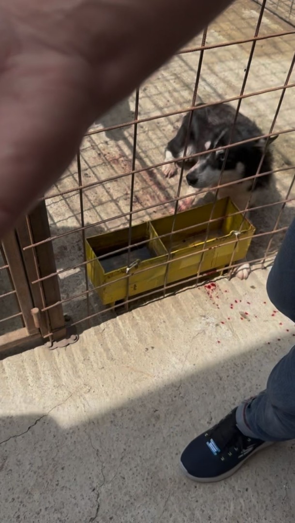 994cdf47-d58b-4088-8fbf-bdf365de2891